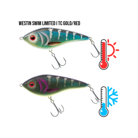 Westin Swim Limited i TC Blue/Black