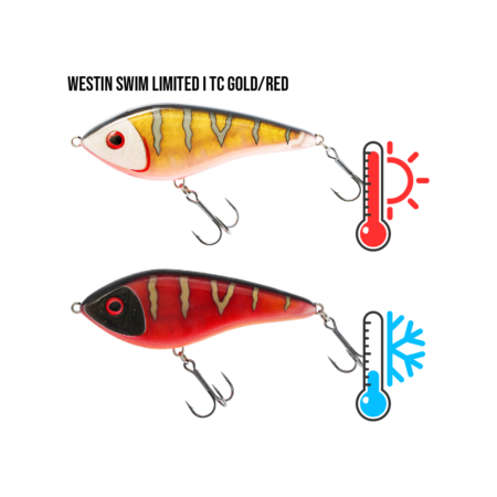 Westin Swim Limited i TC Gold/Red