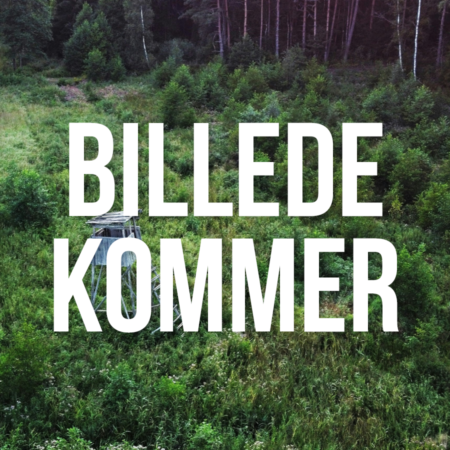 Schultz & Larsen Victory 6,5x55 + Leica kikkert