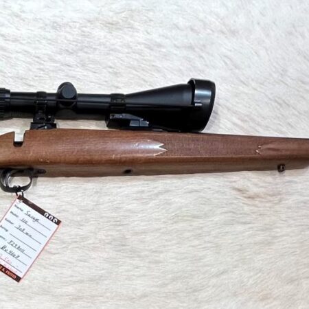 Savage 110 308 win + Bushnell 2,5-10x50